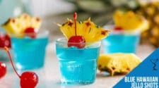 Blue Hawaiian Jello Shots Recipe - Tropical Party Perfection