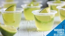 Margarita Tequila Jello Shots Recipe – Fun, Tangy, and Perfect for Parties