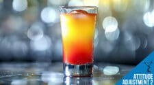 Attitude Adjustment 2 Shot Recipe - Bold and Fruity Mix