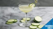 Cucumber Gimlet Cocktail Recipe – Refreshing, Light, and Herbaceous