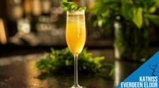 Katniss Everdeen Elixir Cocktail Recipe - Sparkling Hunger Games Drink