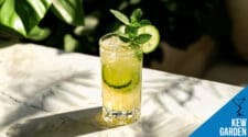 Kew Garden Cocktail Recipe – Floral, Refreshing, and Crisp
