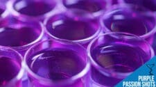 Purple Passion Jiggle Shots Recipe – Fruity, Fun, and Wobbly