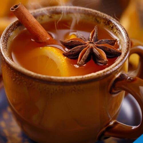 Spiked Hot Apple Cider Recipe - Warm and Cozy Autumn Sip