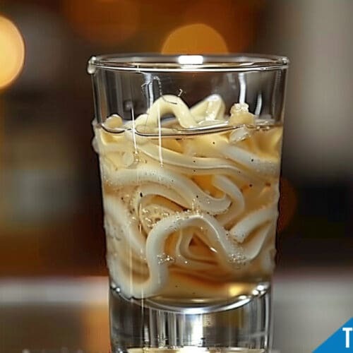 Tapeworm Shot Recipe: Daring Vodka and Hot Sauce Cocktail
