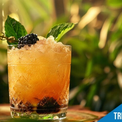 The Tribute Cocktail Recipe - A Hunger Games Inspired Delight